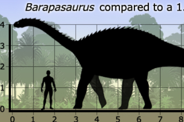 巴拉帕龙:最晚发现的蜥脚类恐龙(长18米/拥有巨脚)