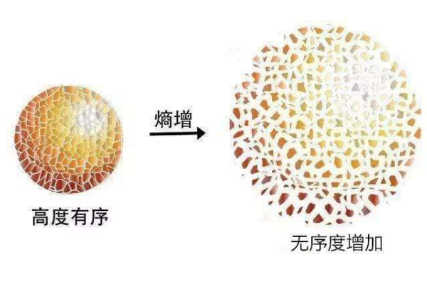 熵增定律太可怕了!地球万物仅一个定律就能概括