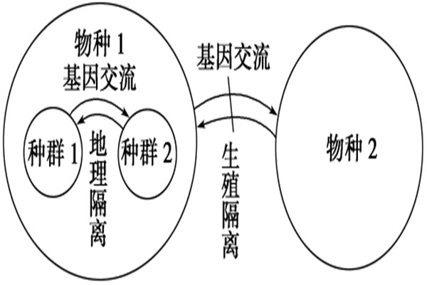 进化论十大漏洞有哪些 进化论这些漏洞可以解释吗