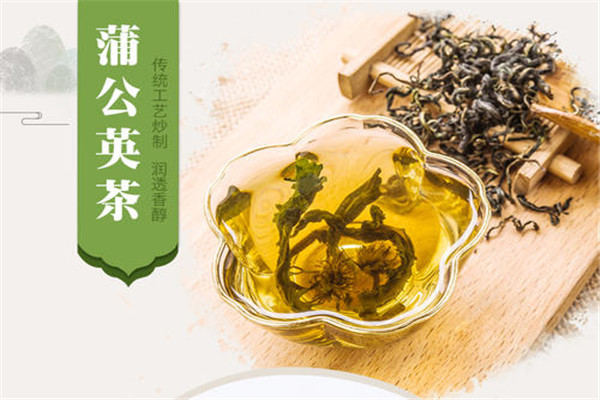 蒲公英茶和蒲公英根茶的区别 蒲公英根茶口感更好