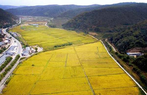 南泥湾在哪里属于哪个省 南泥湾地理环境怎样