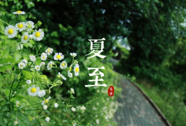 夏至节气的含义是什么，一年白昼最长（每年的6月21日或22日）