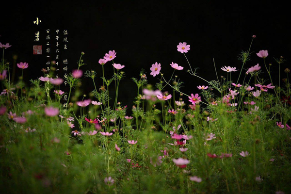 夏至的下一个节气是什么?小暑有哪些重要特点(闷热难耐)