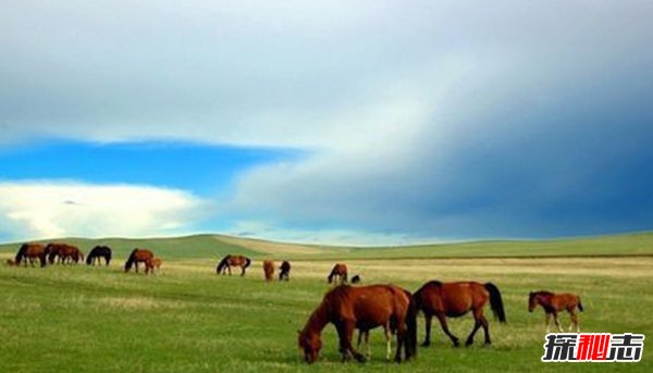 巴林这个国家有钱吗?盘点巴林10大旅游注意事项