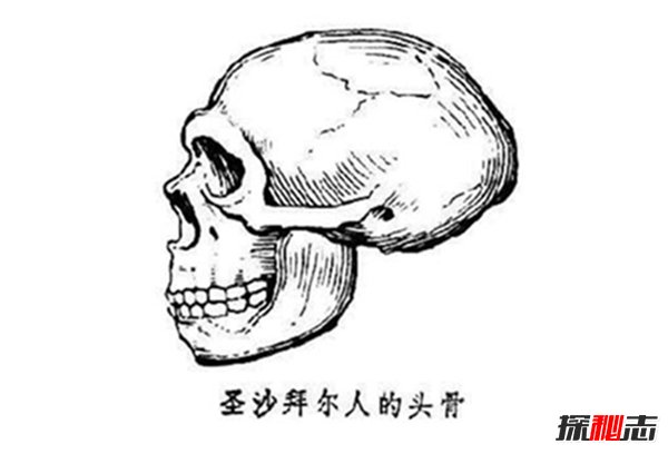 揭秘圣沙拜尔人：智商低于现代人（和熊抢洞穴）