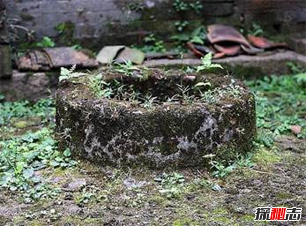 山村古井惊现诡异生物 老者道出真相(土豪花重金买)