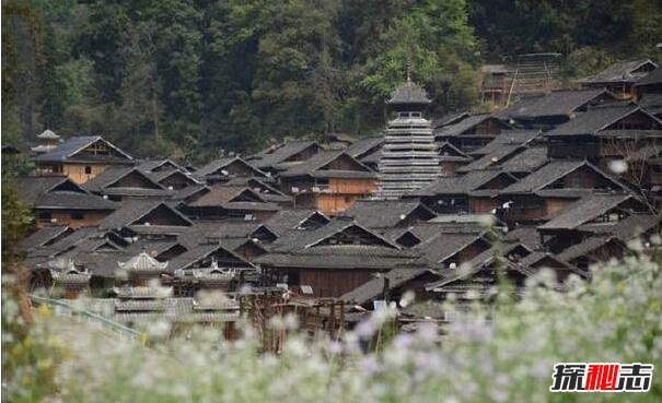 揭秘占里村换花草之谜，能控制婴儿性别的仙草(骗局)