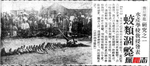 1934年辽宁营口坠龙事件是真的吗 无确切证据证明（假的）